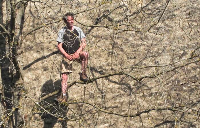 Photo 6 Capture_decran_2026-01-29_a_11.55.58.jpg